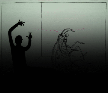 The Metamorphosis: Things to Learn